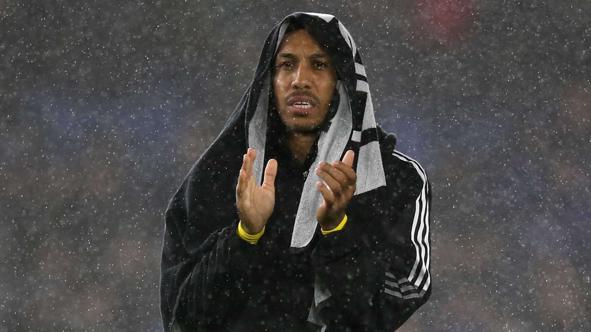 迷留下了深 迷留下了深